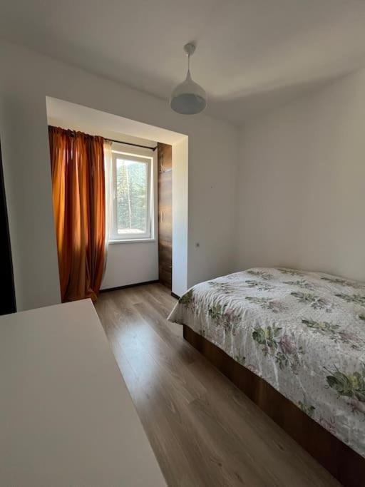 Ana'S Cosy Home In Borjomi Center Zewnętrze zdjęcie